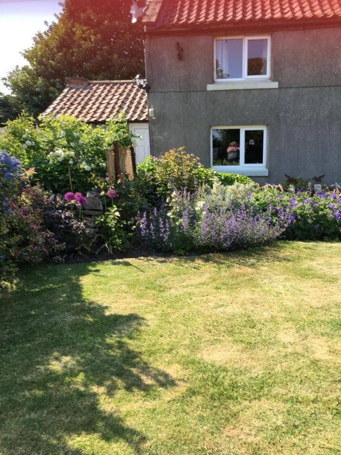 Oscar Park Farm Bed & Breakfast York Dış mekan fotoğraf