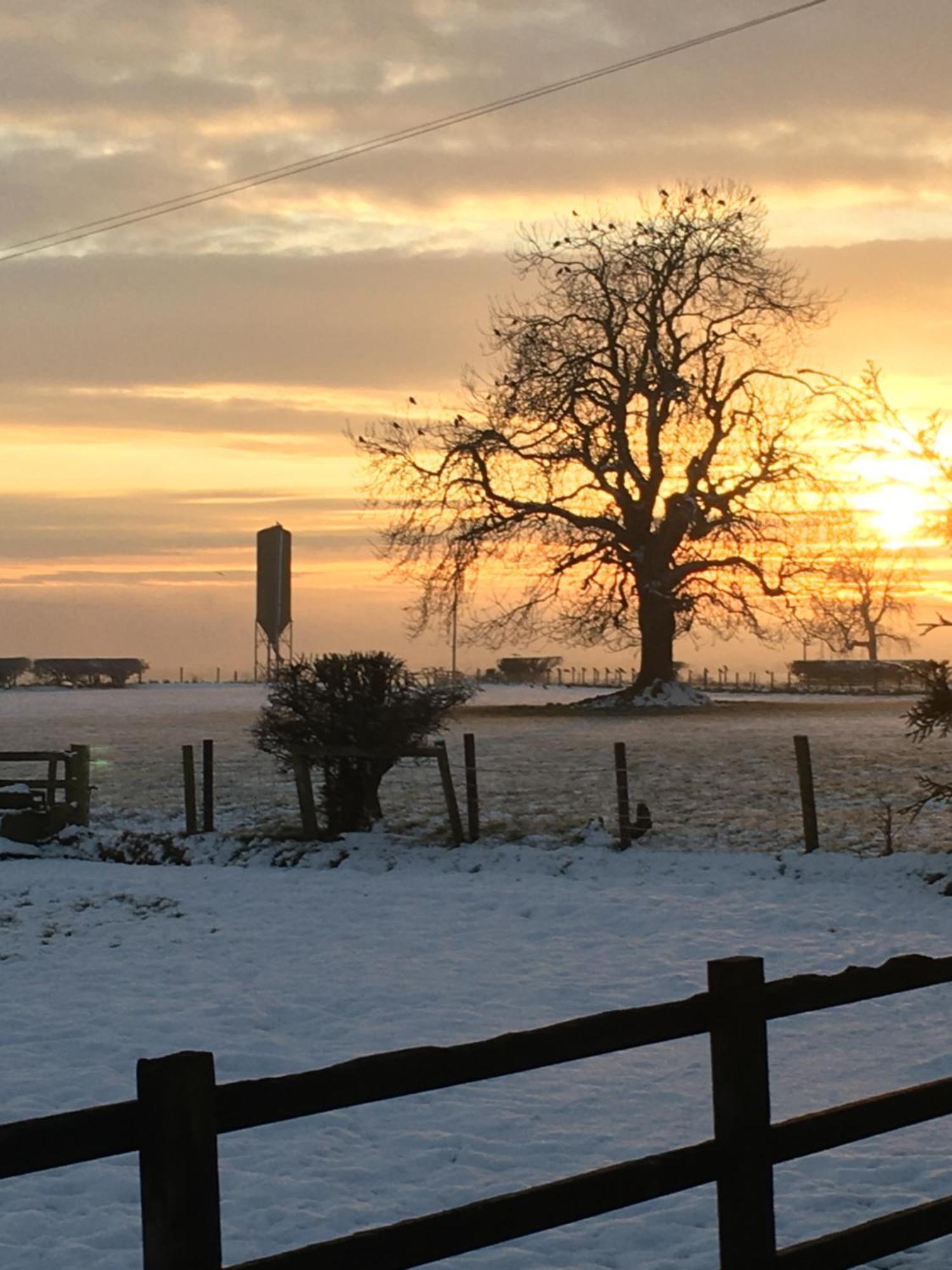 Oscar Park Farm Bed & Breakfast York Dış mekan fotoğraf