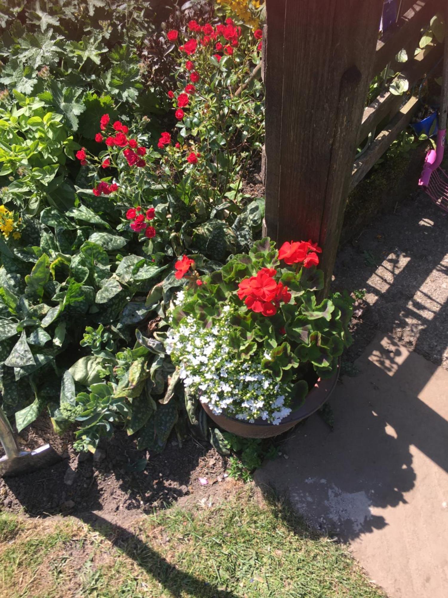 Oscar Park Farm Bed & Breakfast York Dış mekan fotoğraf